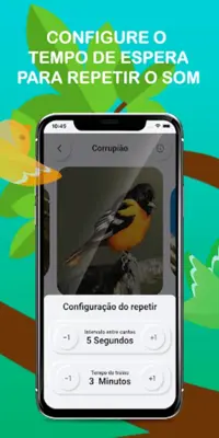 Bird sounds suffered Brazil android App screenshot 4