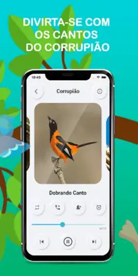 Bird sounds suffered Brazil android App screenshot 6